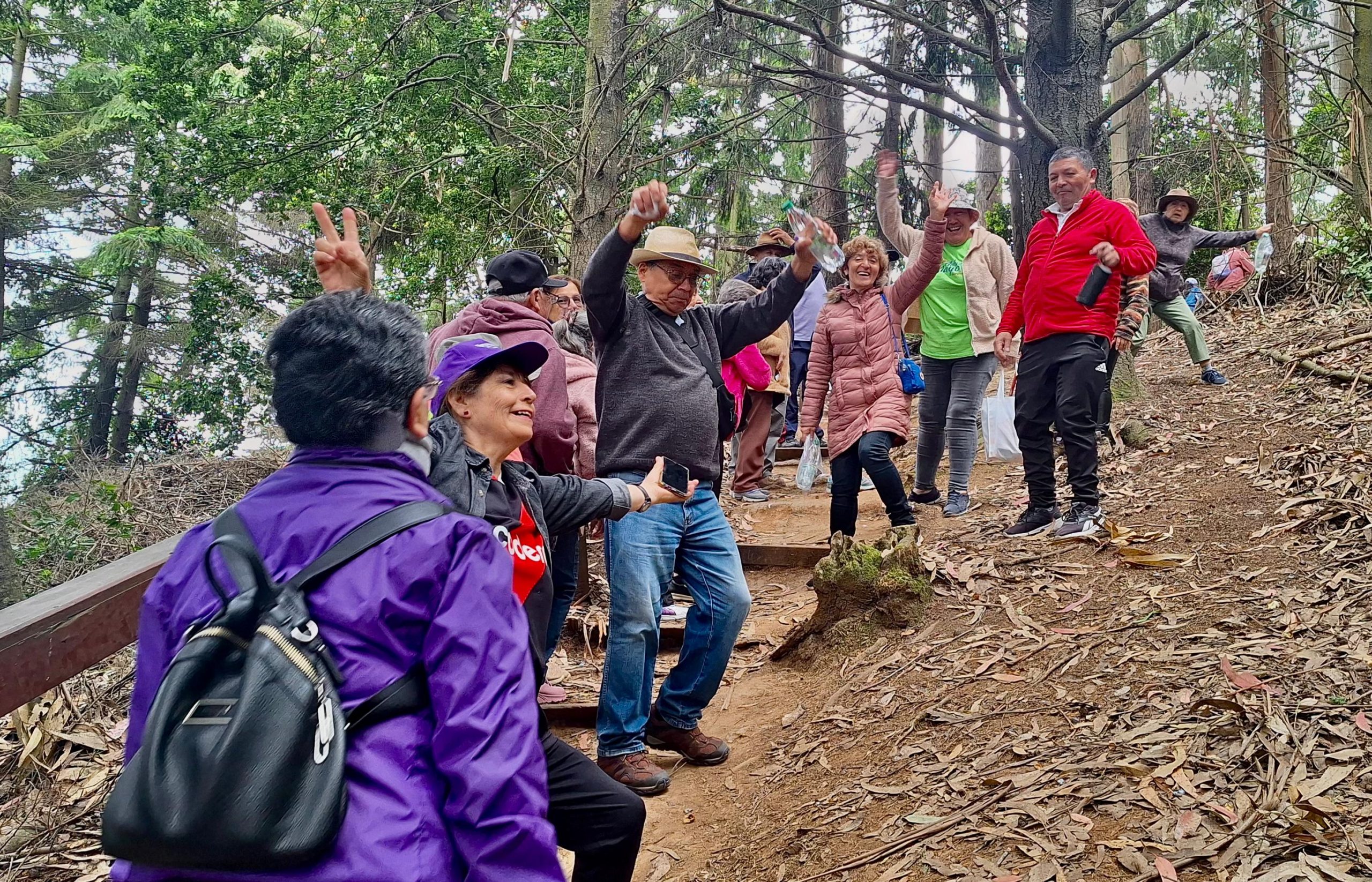 ¡Promoviendo El Bienestar De Las Personas Mayores Con Una Caminata En El Parque Alessandri!